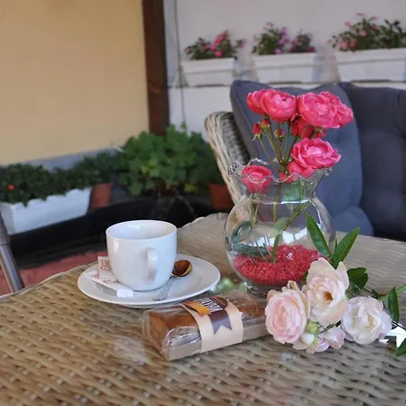 Family Dalia * Welingrad