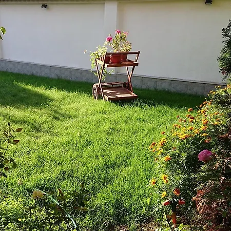 Отель Family Dalia Велинград